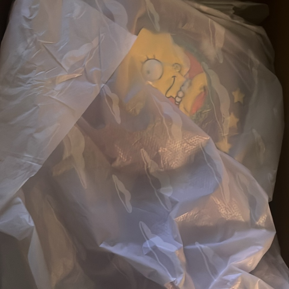 The Simpsons | vans - Picture 3 of 7